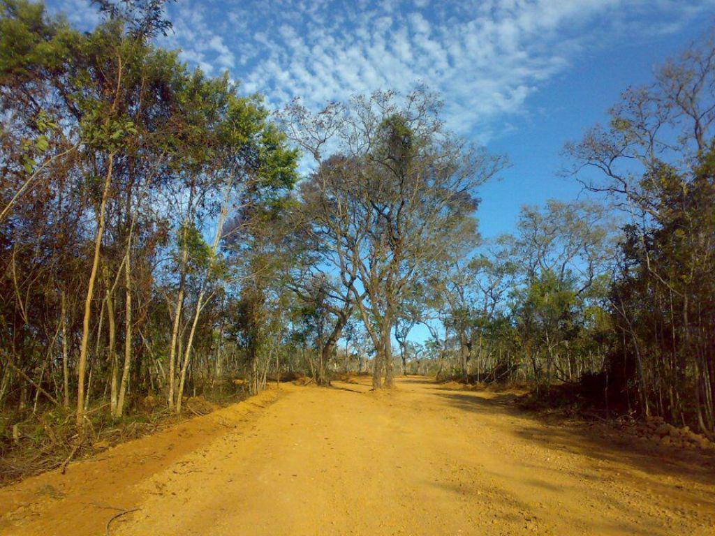 Fazenda, Centro, 0 Quarto, 0 Vaga
