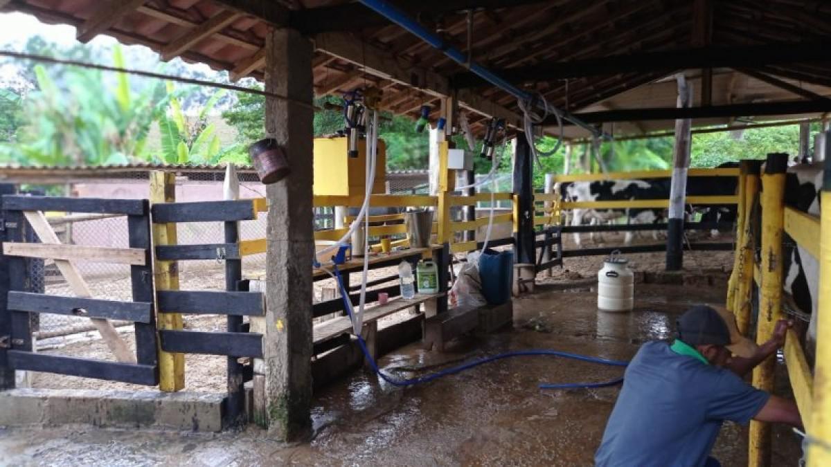 Fazenda, Centro, 6 Quartos, 3 Vagas