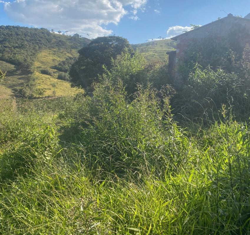 Fazenda, Zona Rural, 0 Quarto, 0 Vaga