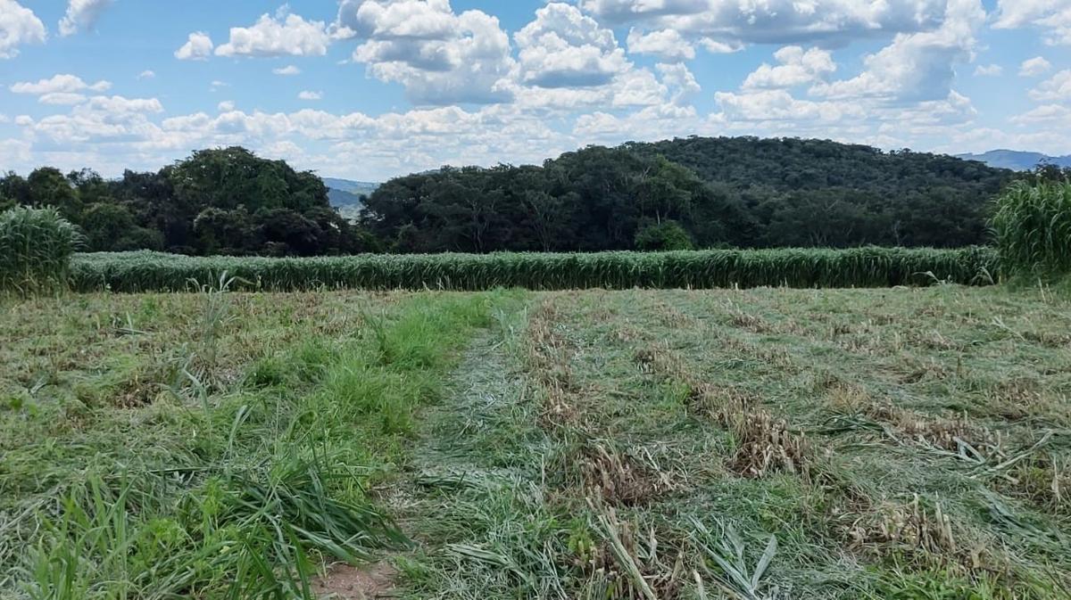 Fazenda, Zona Rural, 4 Quartos, 2 Vagas