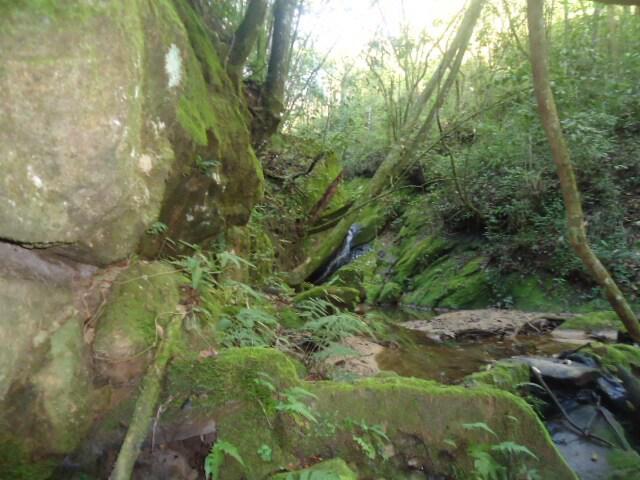 Lote, Santo Antonio do Leite, 1 Quarto, 1 Vaga