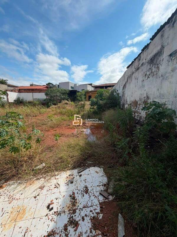 Lote, Teixeira Dias