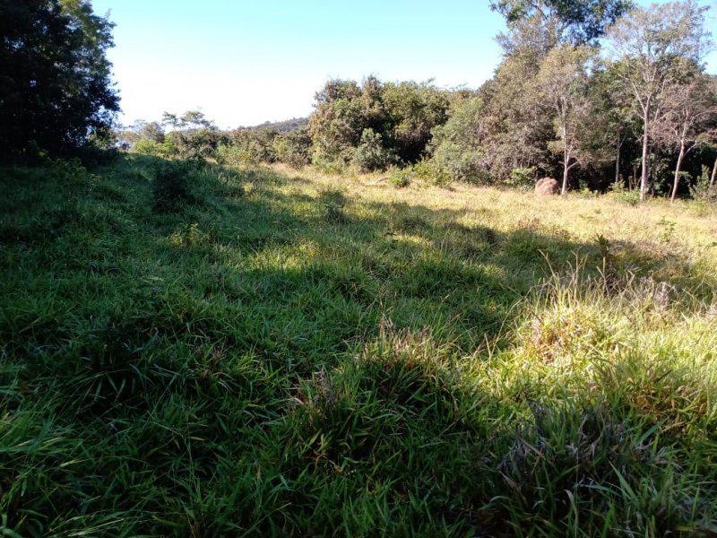 Lote, Centro, 0 Quarto, 0 Vaga