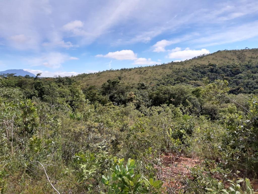 Lote, Morro Vermelho, 0 Quarto, 0 Vaga