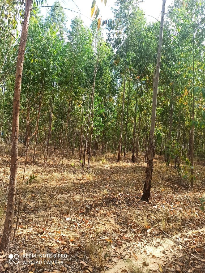 Fazenda, Zona Rural, 0 Quarto, 0 Vaga