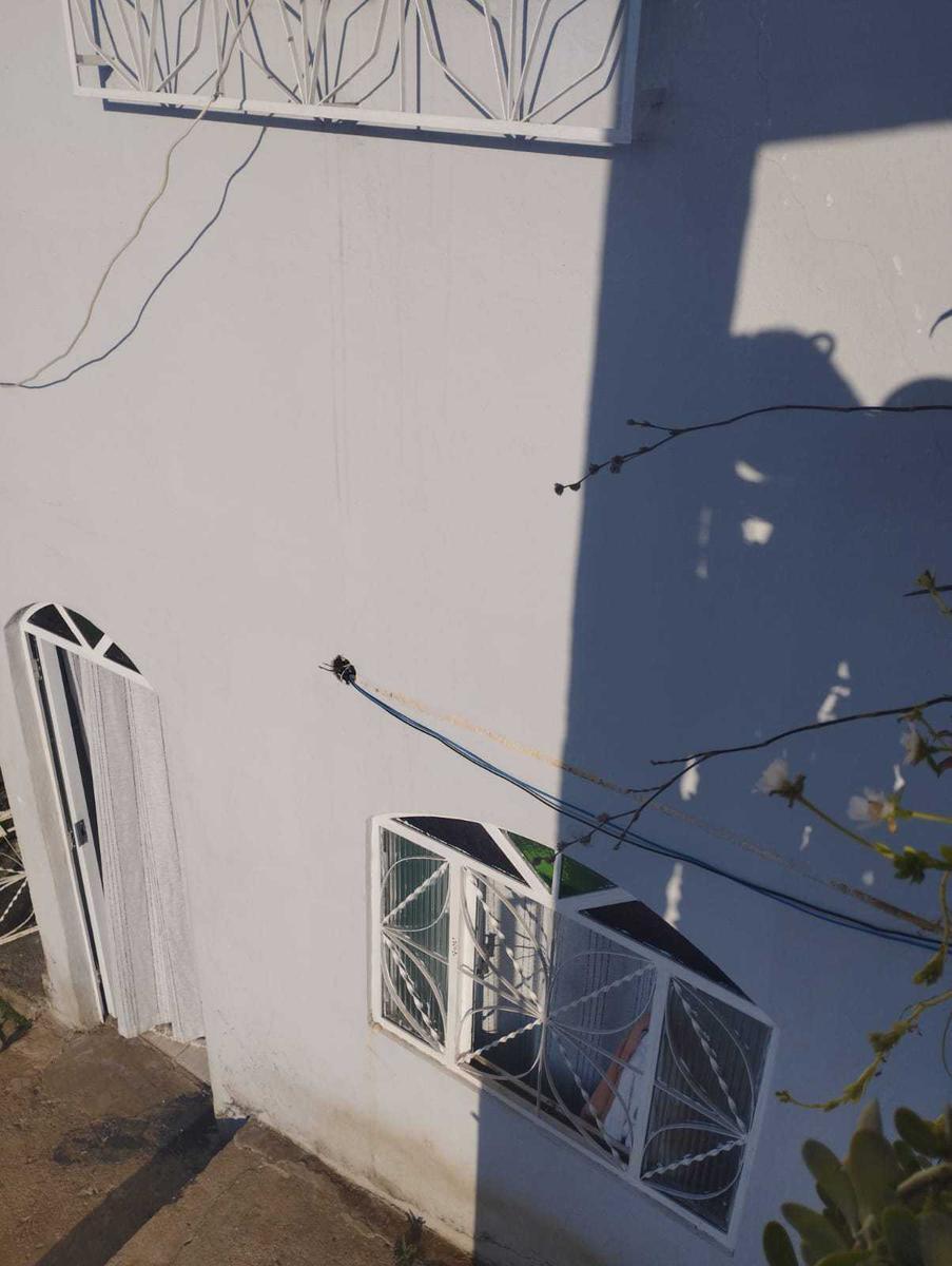 Casa, Novo Horizonte, 3 Quartos, 1 Vaga