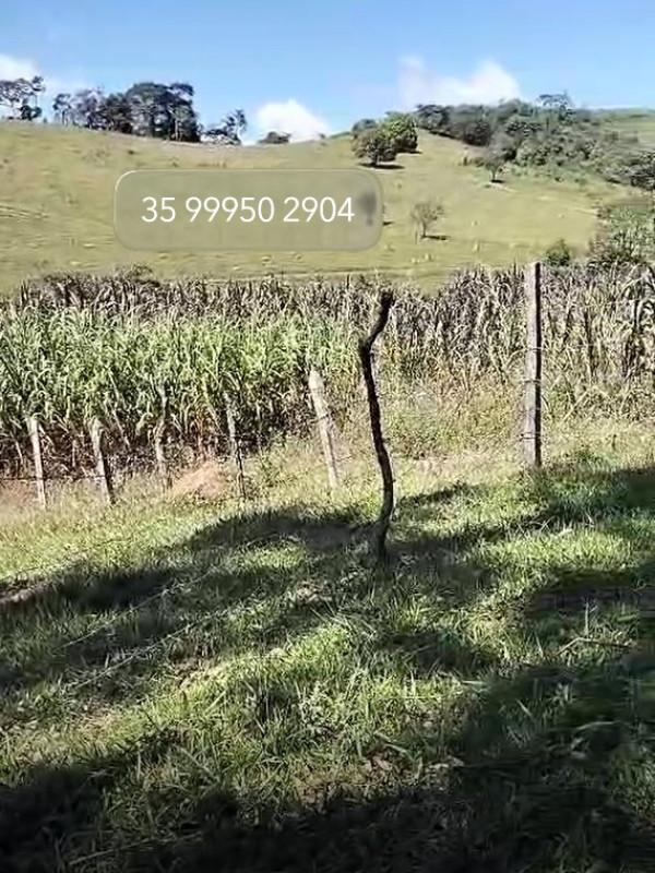 Fazenda, Zona Rural, 0 Quarto, 0 Vaga