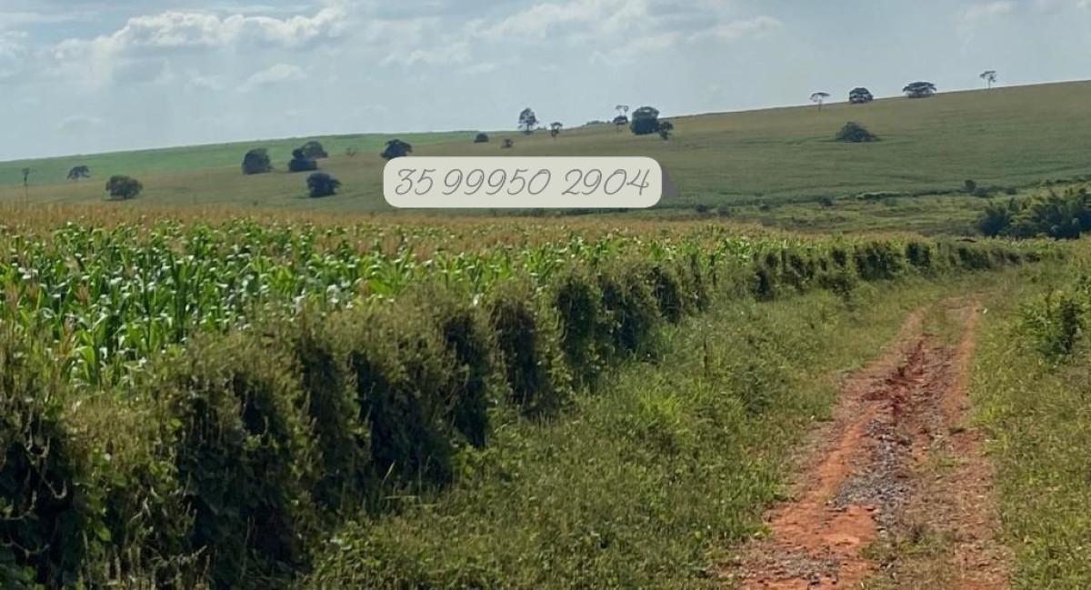 Fazenda, Zona Rural, 0 Quarto, 0 Vaga