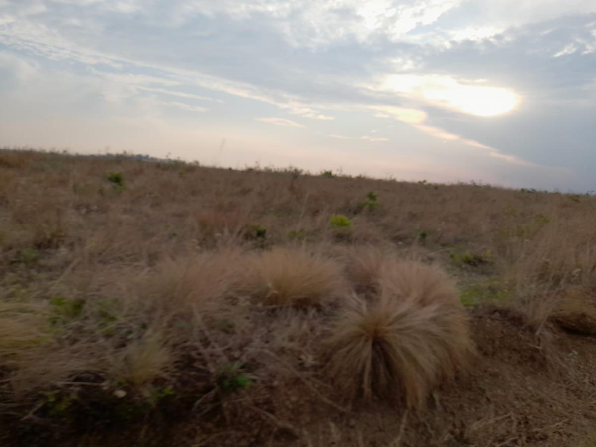 Fazenda, Zona Rural, 0 Quarto, 0 Vaga