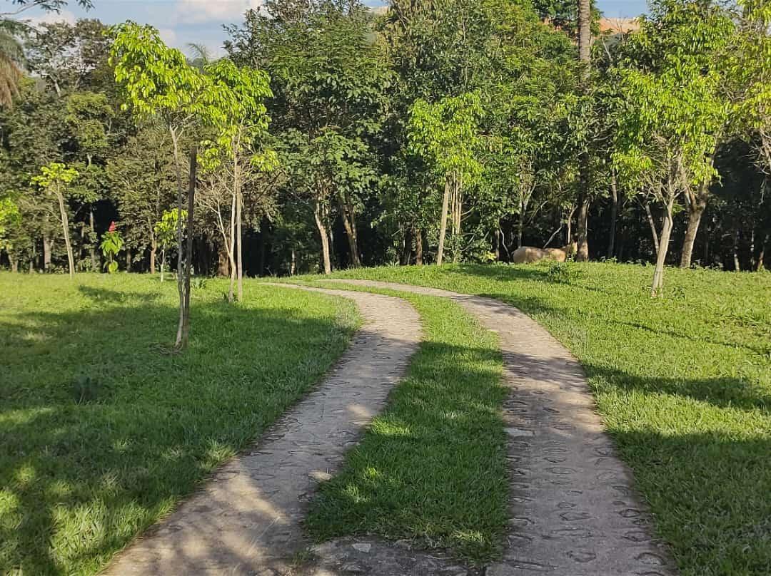 Fazenda, Bandeirinhas, 5 Quartos, 10 Vagas, 1 Suíte