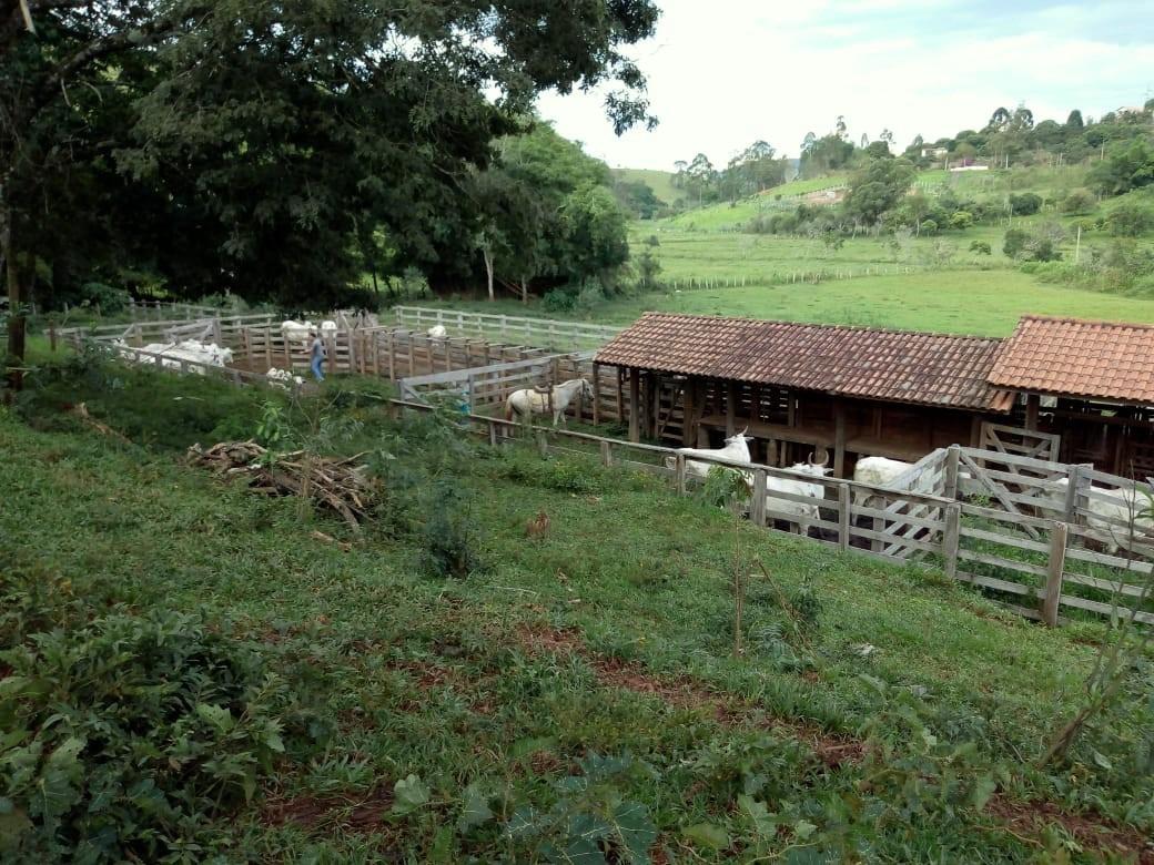 Fazenda, Centro, 1 Quarto, 1 Vaga, 1 Suíte