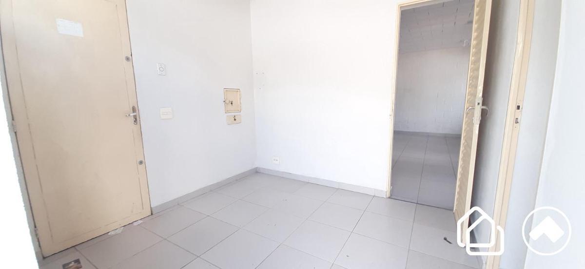 Lote, Palmeiras
