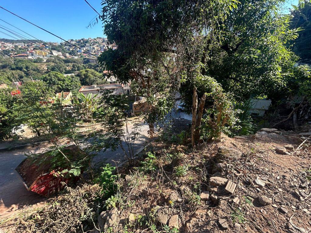 Lote, Vila Eugênio Rossi, 0 Quarto, 0 Vaga