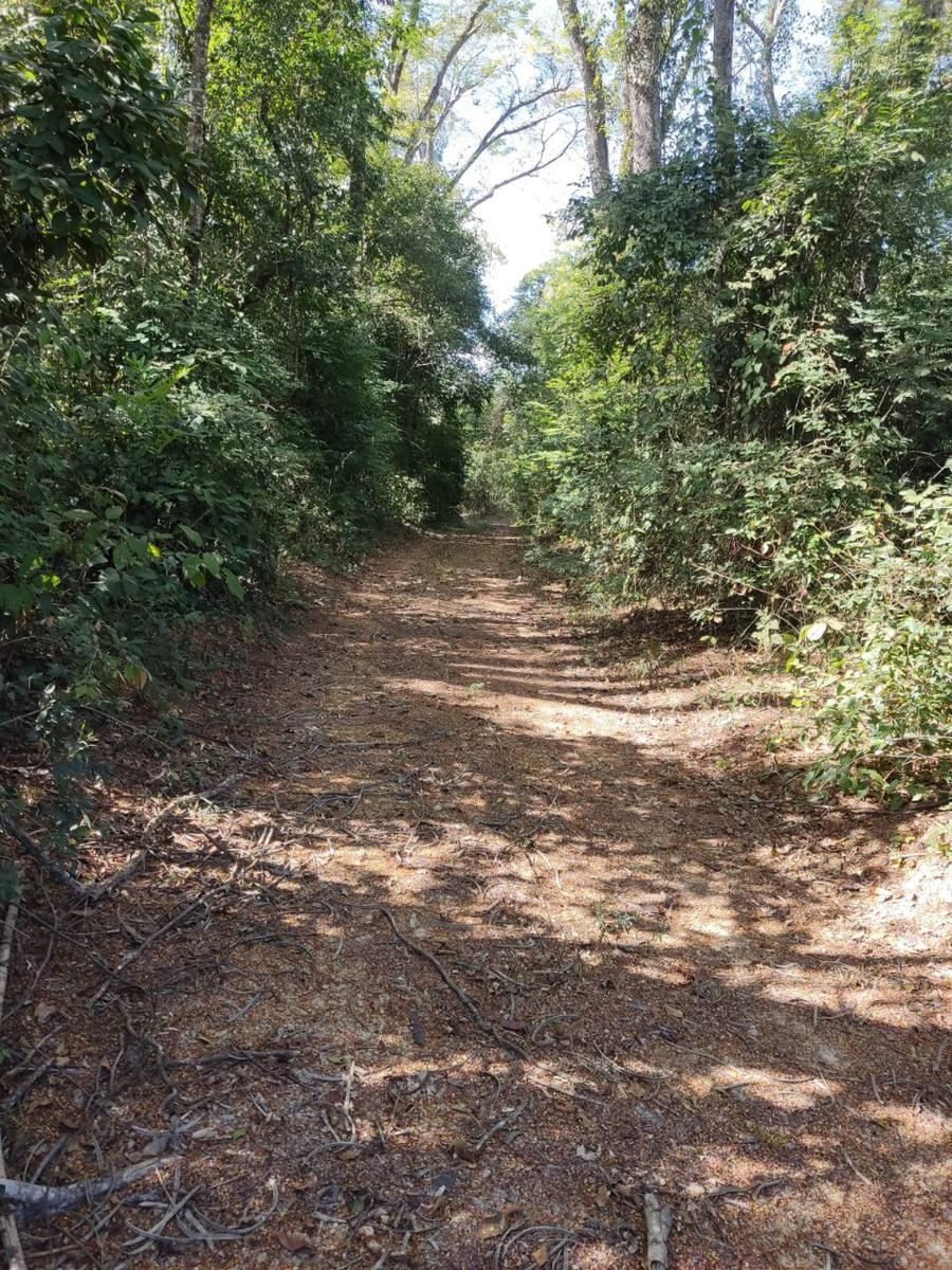 Lote, Centro, 0 Quarto, 0 Vaga