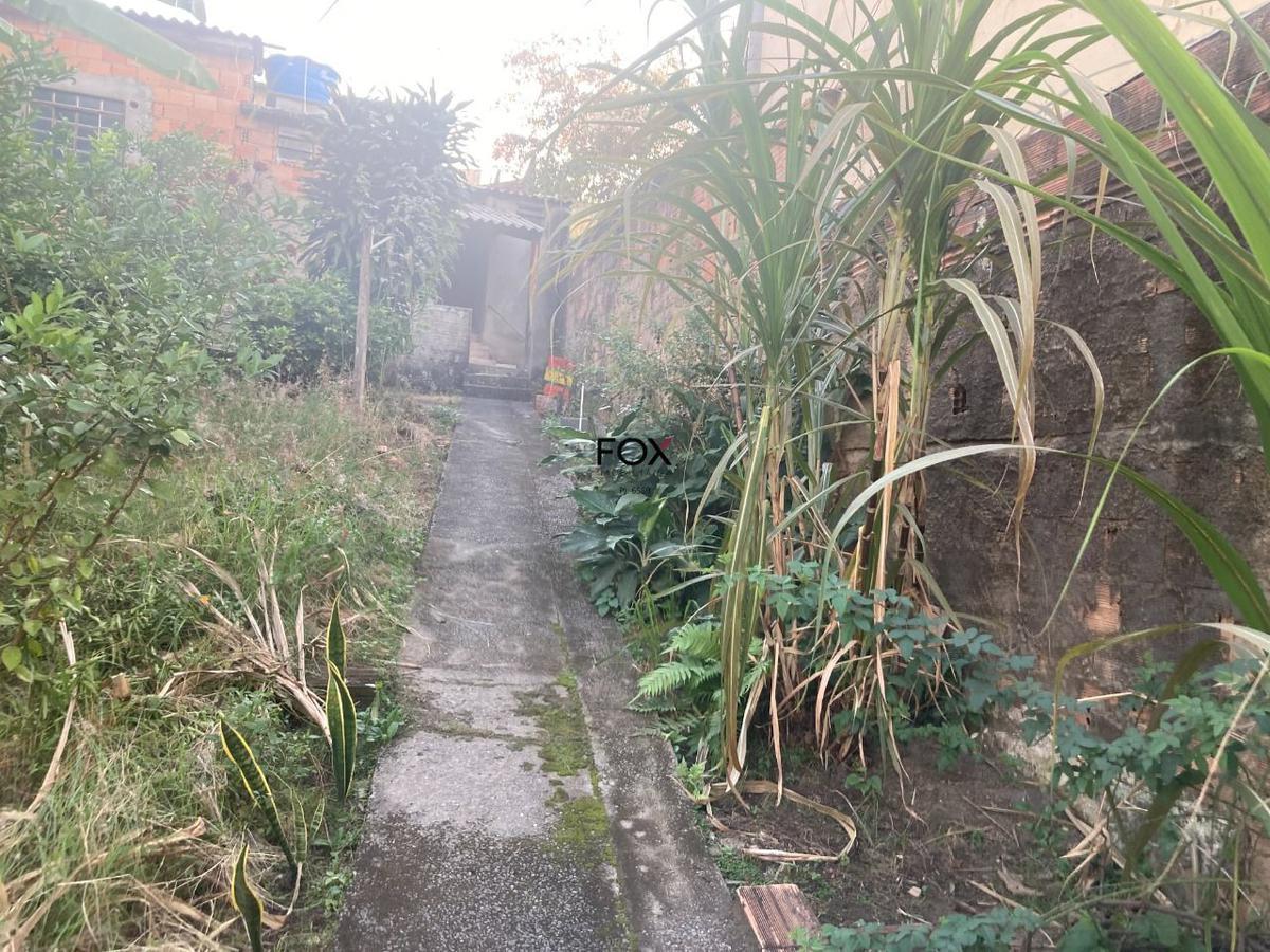Lote, Santa Amélia, 3 Quartos, 2 Vagas