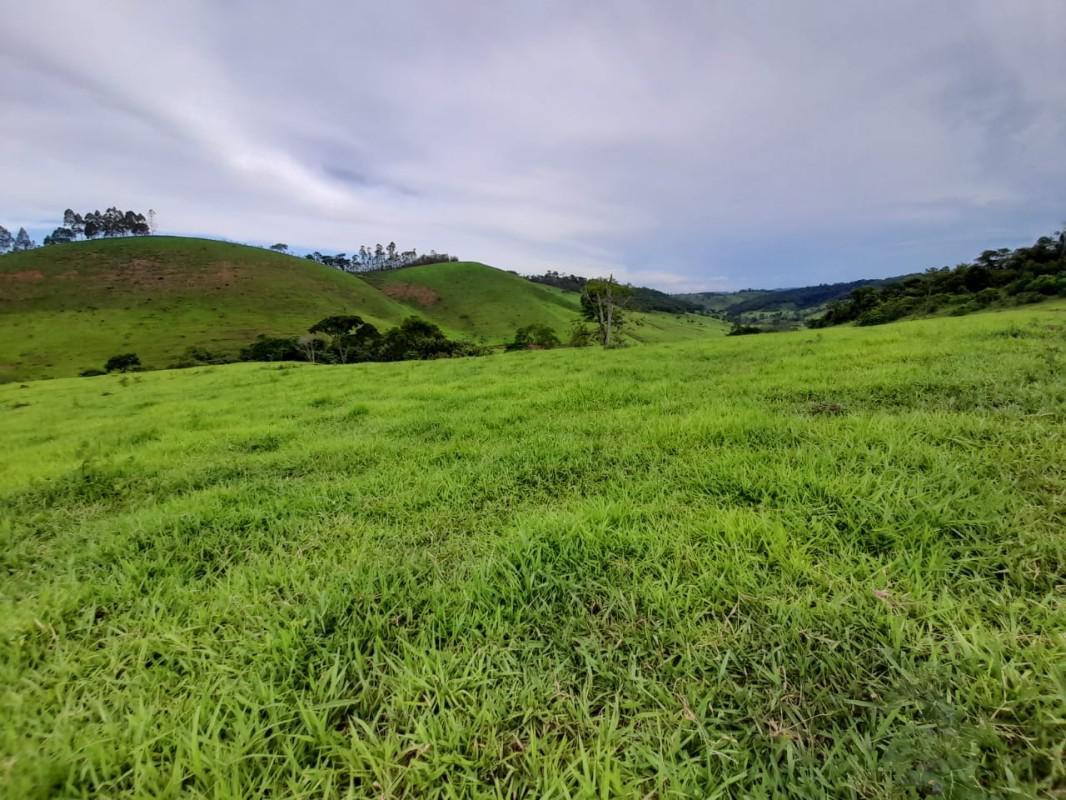 Fazenda, Zona Rural, 8 Quartos, 0 Vaga