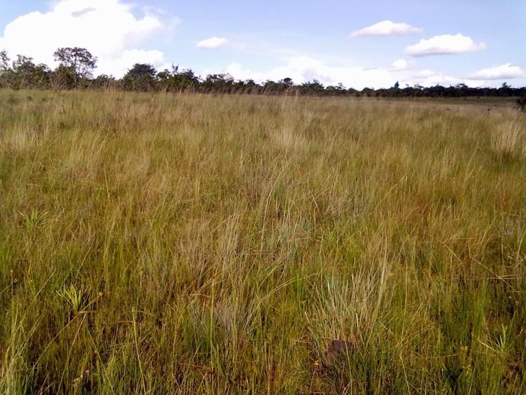 Fazenda, Zona Rural, 0 Quarto, 1 Vaga