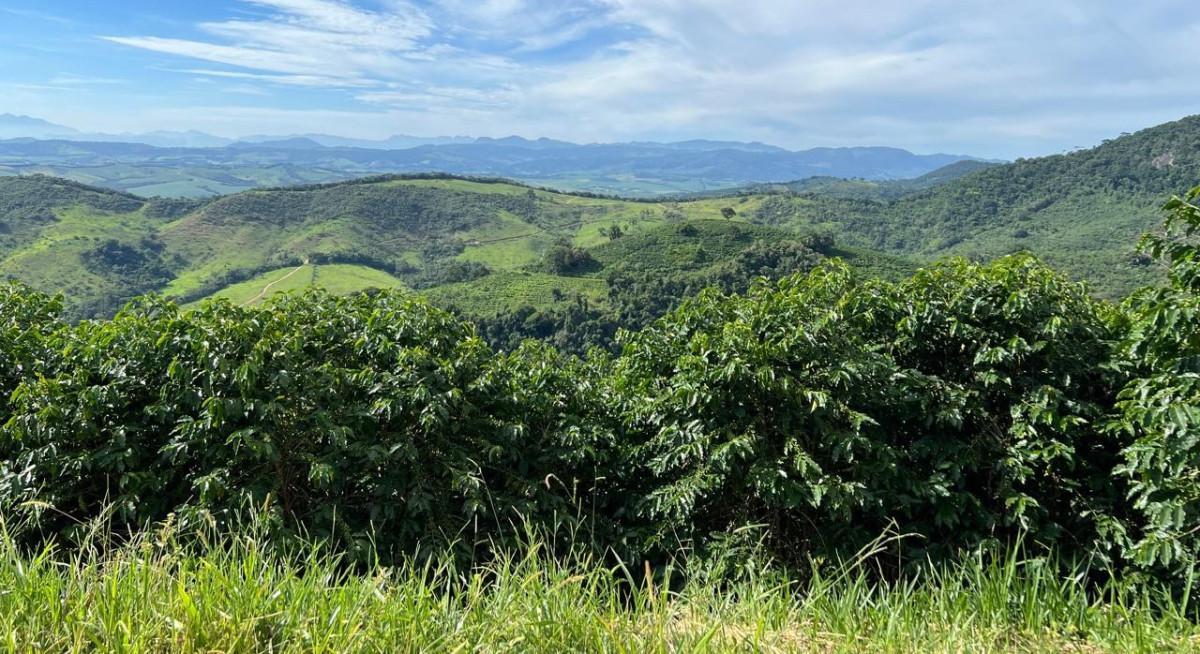 Fazenda, Zona Rural, 0 Quarto, 0 Vaga