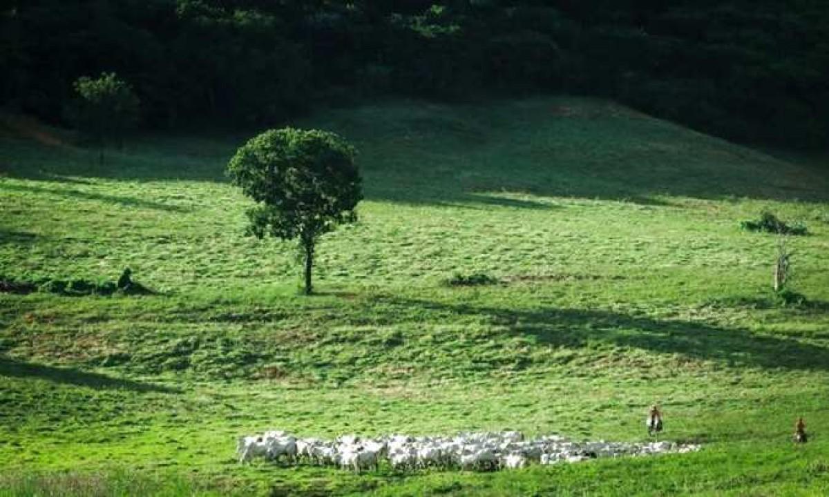 Fazenda, Zona Rural, 0 Quarto, 0 Vaga