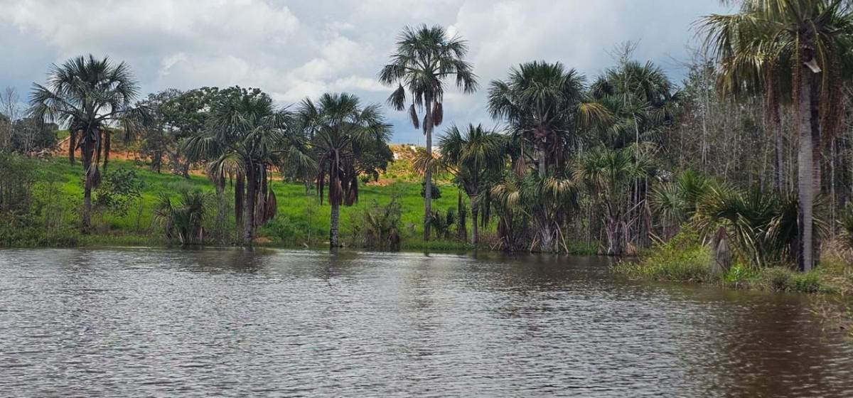 Fazenda, Centro, 0 Quarto, 0 Vaga