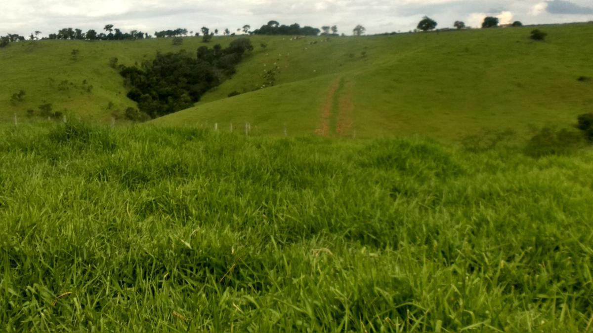 Fazenda, Zona Rural, 0 Quarto, 0 Vaga