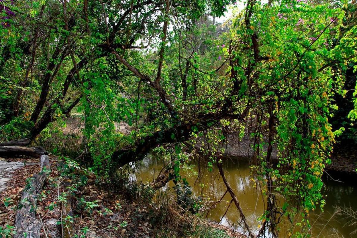 Lote, Parque Ipiranga, 0 Quarto, 0 Vaga