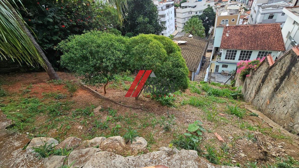 Lote, São Lucas