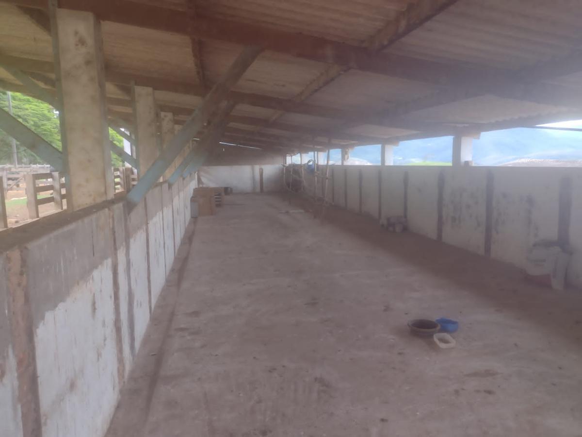 Fazenda, Centro, 3 Quartos, 1 Vaga