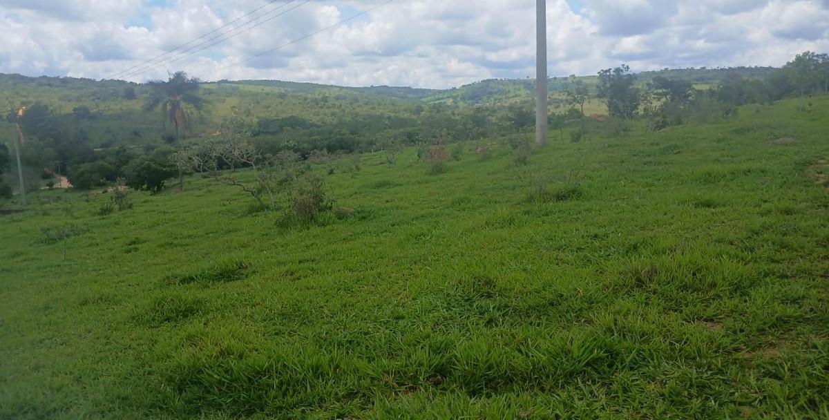 Fazenda, Zona Rural, 0 Quarto, 0 Vaga