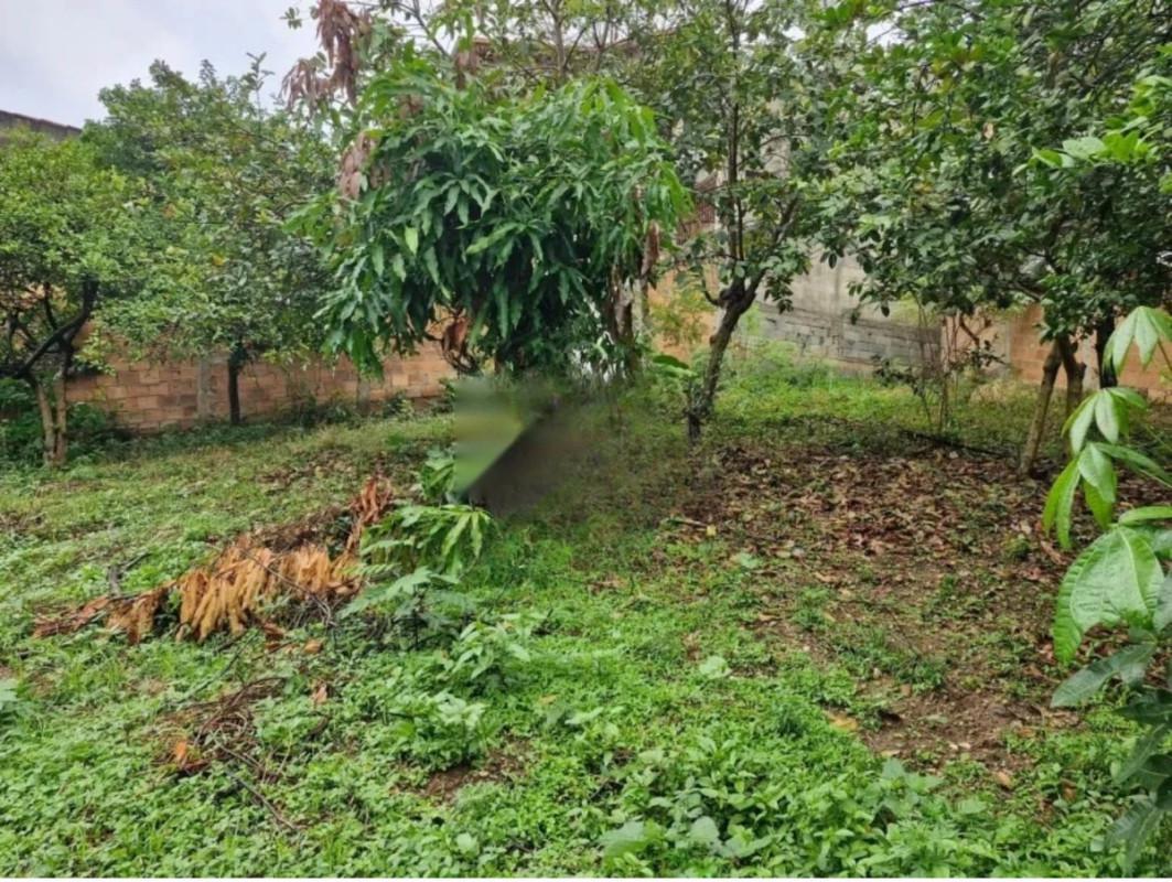 Lote, Bonsucesso, 0 Quarto, 0 Vaga