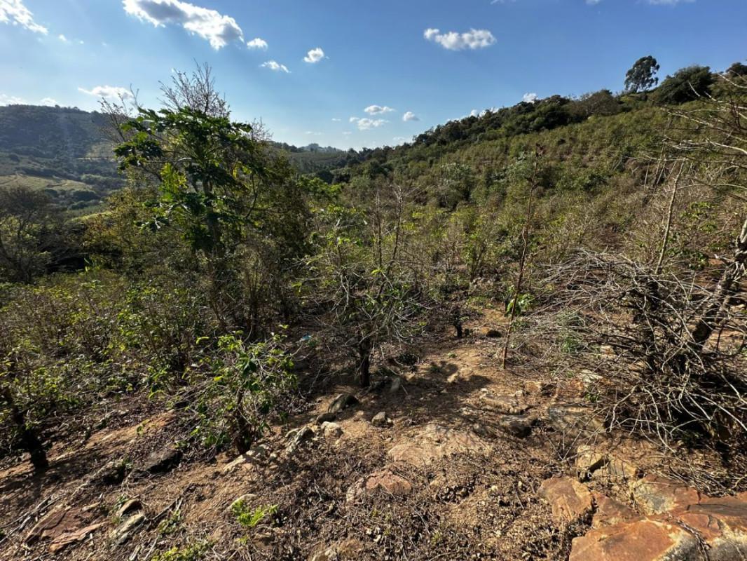 Fazenda, Centro, 0 Quarto, 0 Vaga
