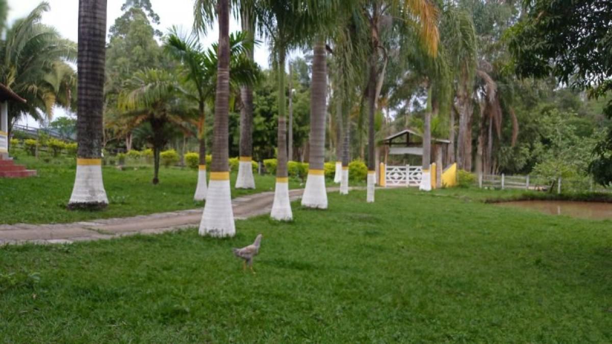 Fazenda, Centro, 6 Quartos, 3 Vagas