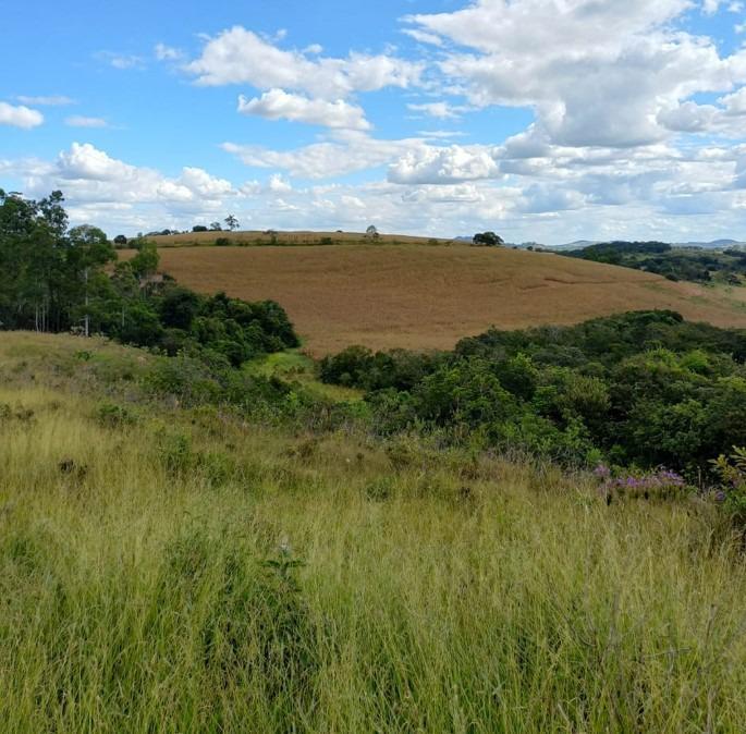 Fazenda, Centro, 3 Quartos, 0 Vaga