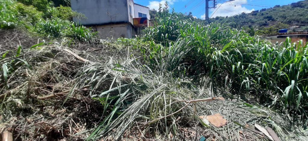 Lote, São José, 0 Quarto, 0 Vaga