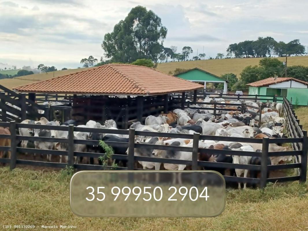 Fazenda, Zona Rural, 0 Quarto, 0 Vaga