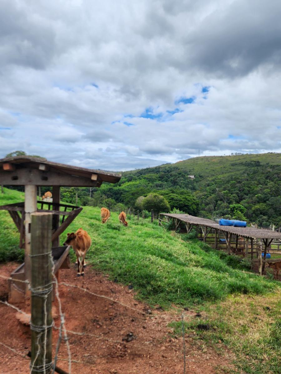 Fazenda, Acurui, 3 Quartos, 0 Vaga, 1 Suíte