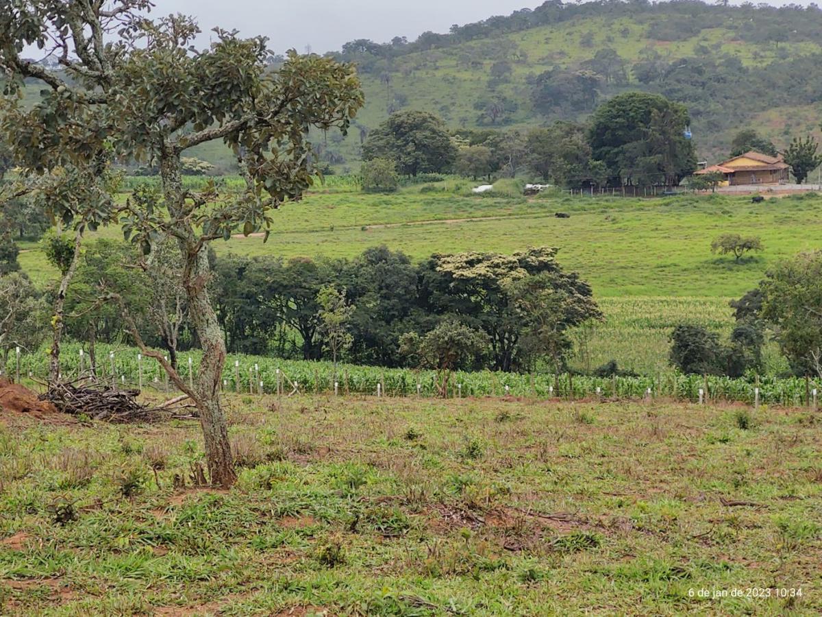 Fazenda, Centro, 3 Quartos, 4 Vagas, 1 Suíte