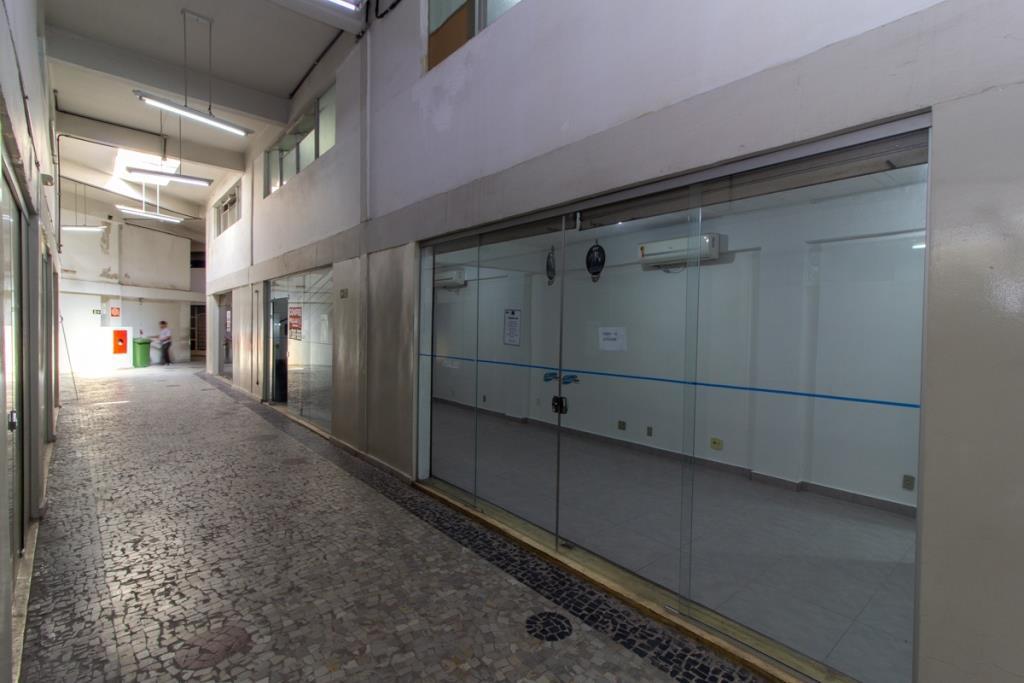 Andar, Floresta, 0 Quarto, 0 Vaga