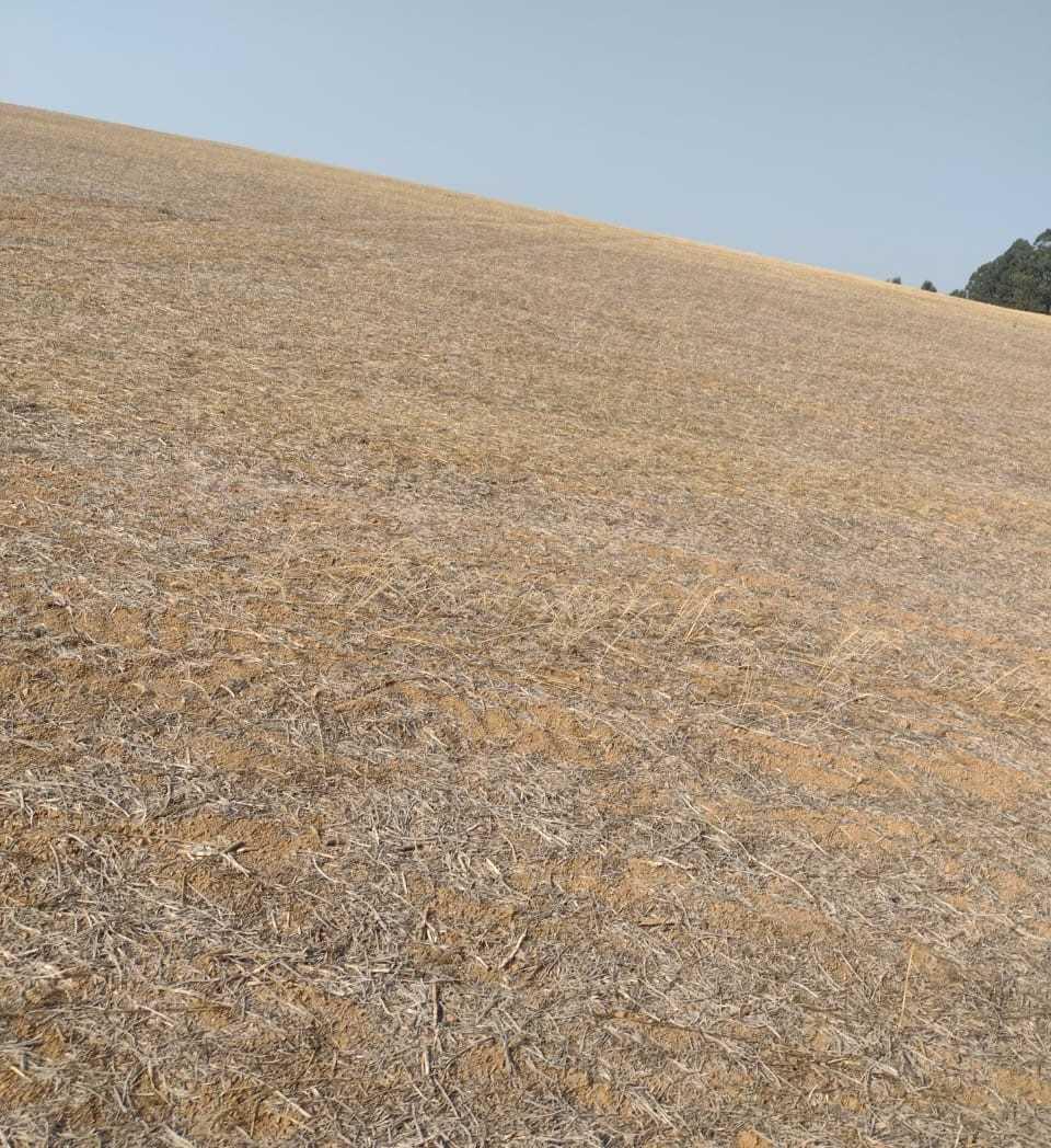 Fazenda, Zona Rural, 1 Quarto, 0 Vaga