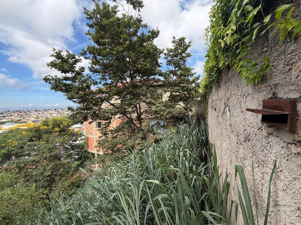 Lote, Tropical, 0 Quarto, 0 Vaga
