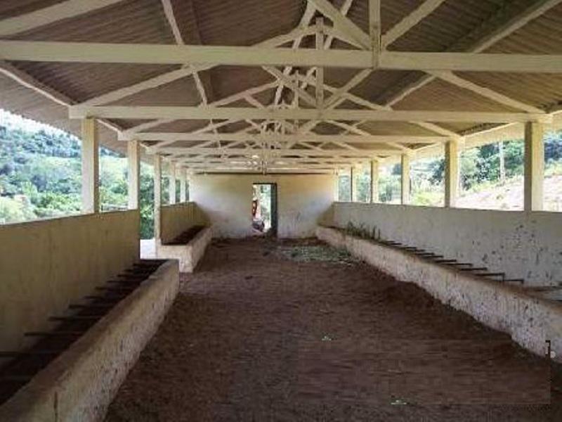 Fazenda, Garcias, 3 Quartos