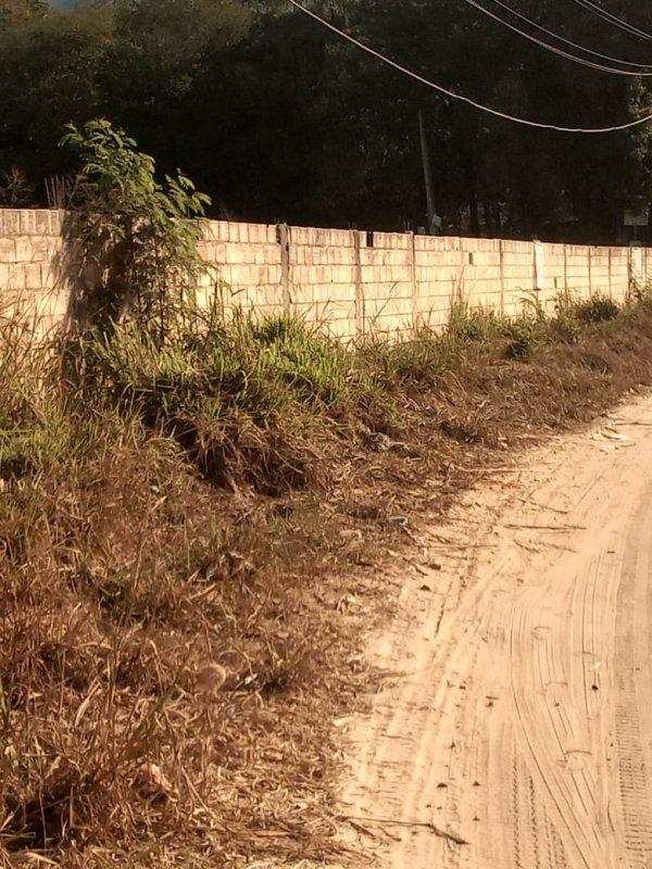Lote, Bandeirinhas, 0 Quarto, 0 Vaga