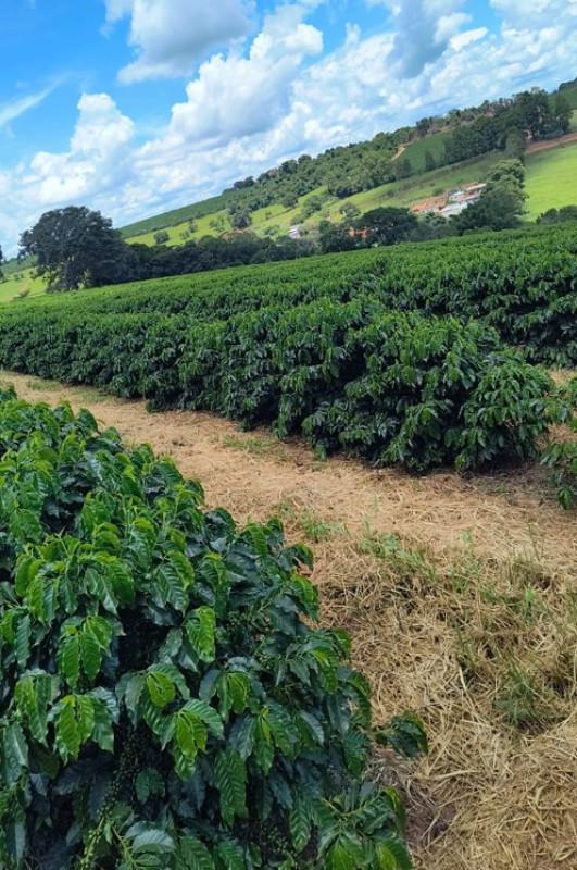 Fazenda, Zona Rural, 0 Quarto, 0 Vaga