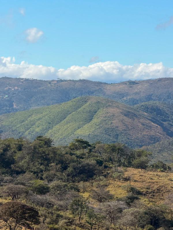 Apartamento, Novo Horizonte, 2 Quartos, 1 Vaga