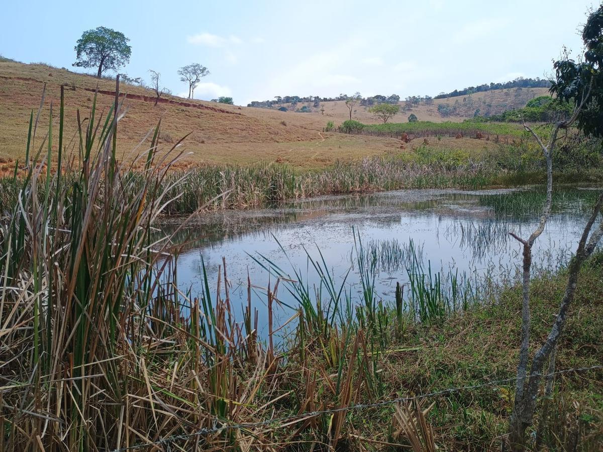 Fazenda, Centro, 3 Quartos, 10 Vagas, 1 Suíte
