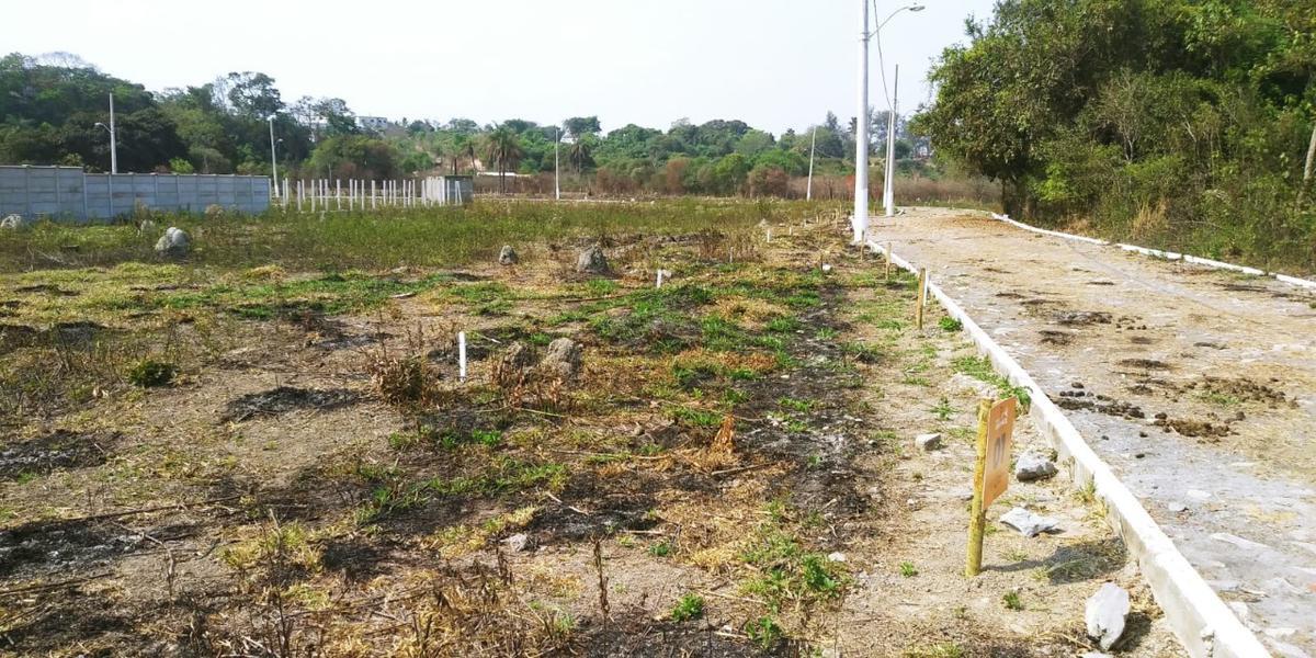 Lote, São José, 0 Quarto, 4 Vagas