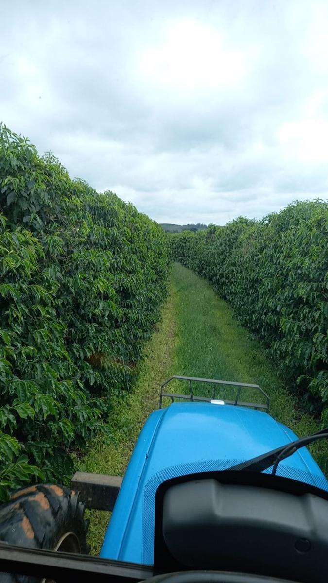 Fazenda, Zona Rural, 3 Quartos, 0 Vaga