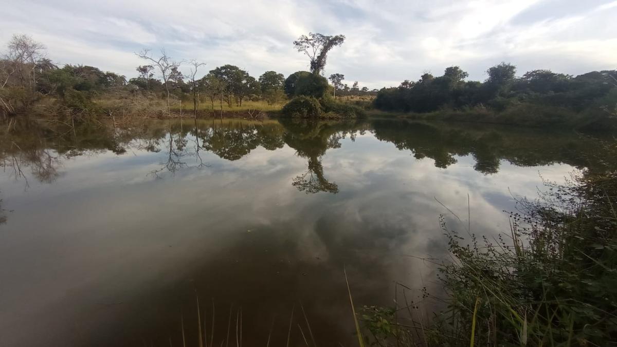 Fazenda, Zona Rural, 6 Quartos, 0 Vaga, 1 Suíte
