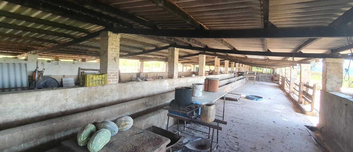 Fazenda, Centro, 4 Quartos, 2 Vagas, 1 Suíte
