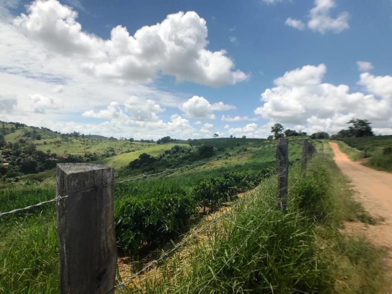 Fazenda, Zona Rural, 0 Quarto, 0 Vaga